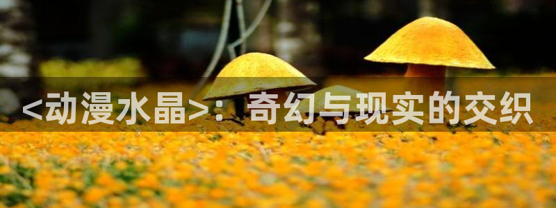 里番h动漫在线