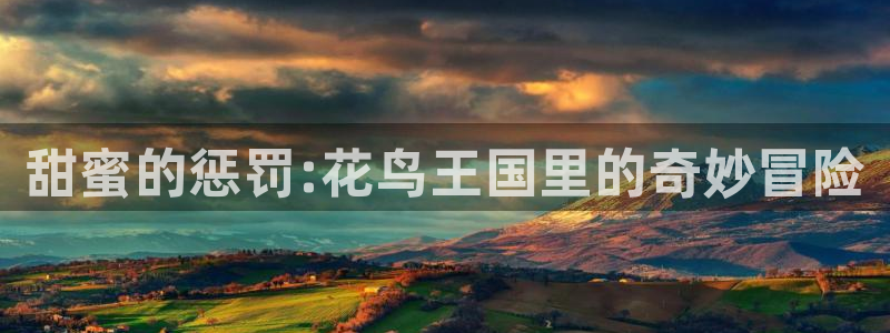 里番动漫网在线观看