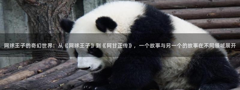 里番h动漫：网球王子的奇幻世界：从《网球王子》到《阿甘正传》，一个故事与另一个的故事在不同领域展开