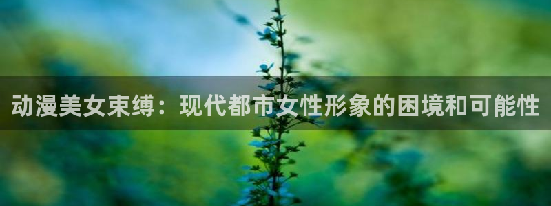 里番动漫网有哪些