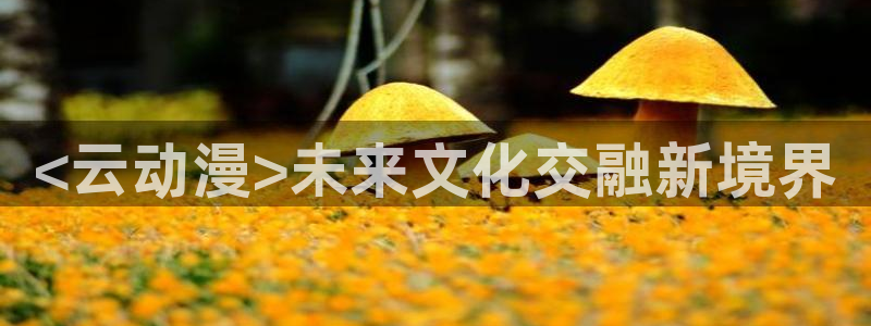 可以看里番的动漫网站