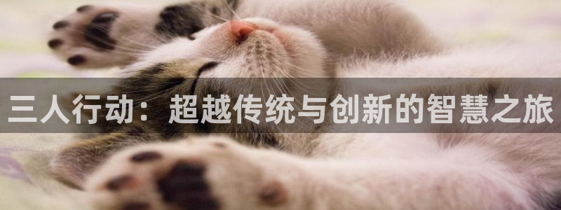 动漫里番网站