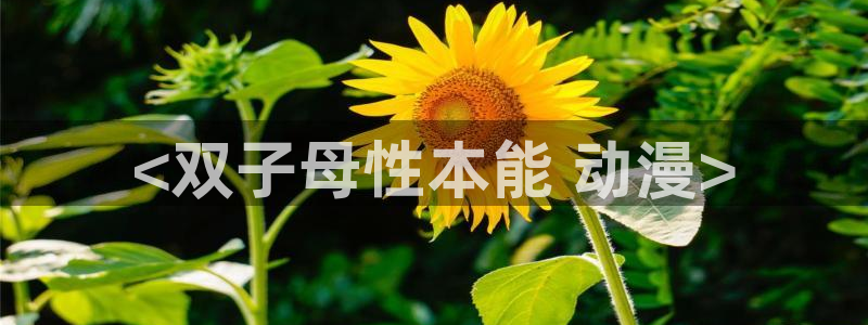 可以看里番的动漫网站
