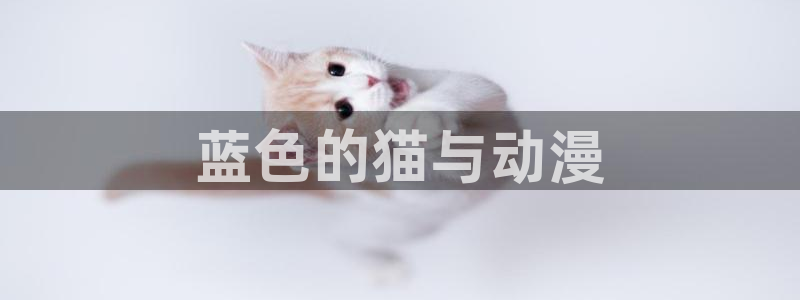 里番动漫伦理
