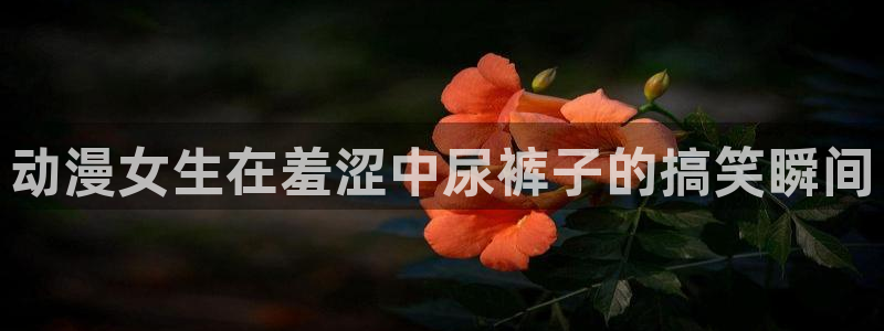 里番漫画网址
