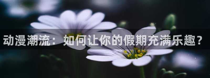 扶她里番动漫