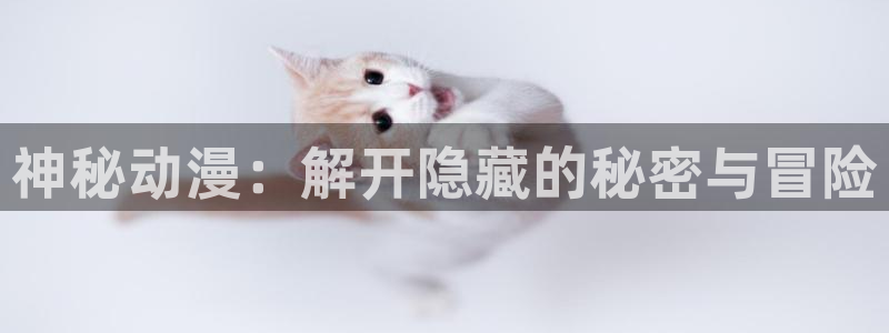 里番动漫全集