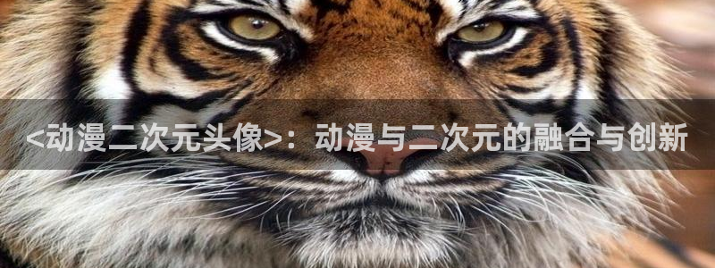 里番动漫app有哪些