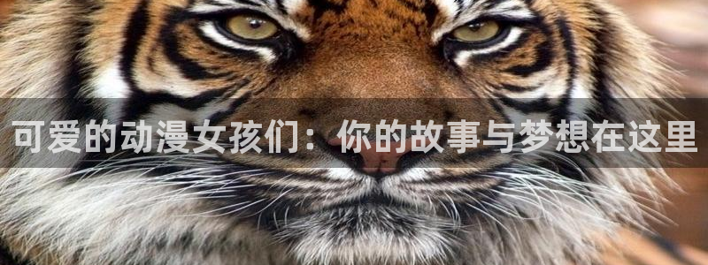 里番动漫免费在线看