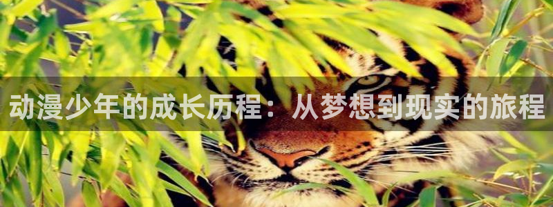 里番漫画免费看：动漫少年的成长历程：从梦想到现实的旅程