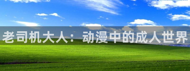 最新里番动漫：老司机大人：动漫中的成人世界