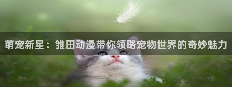 里番动漫视频观看