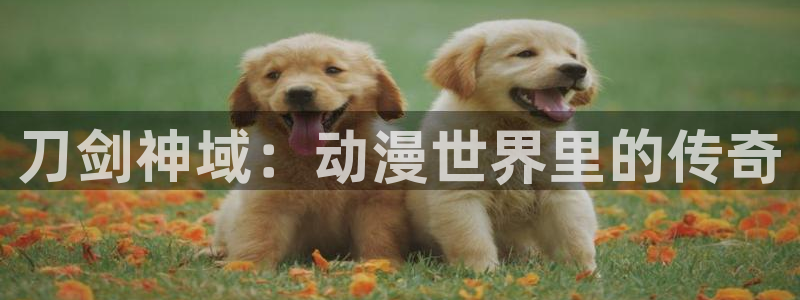 2020里番动漫