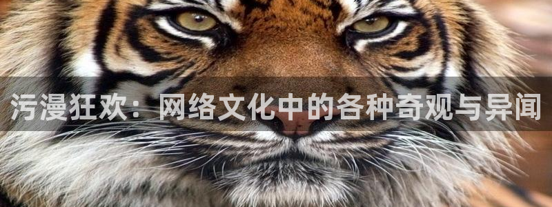 日本里番动漫网