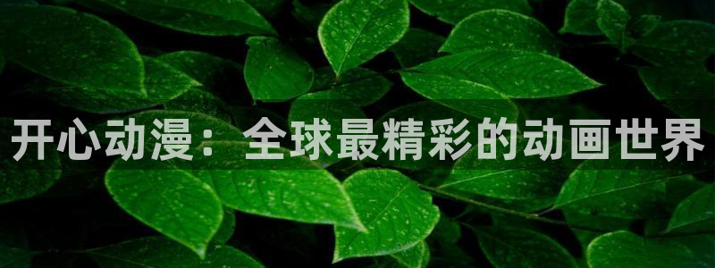 动漫里番资源