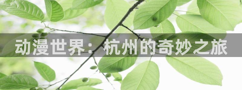 动漫里番合集