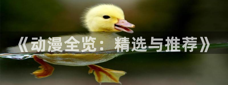 新番里番：《动漫全览：精选与推荐》