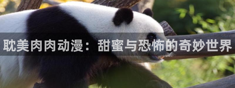 里番动漫我的妈妈：耽美肉肉动漫：甜蜜与恐怖的奇妙世界