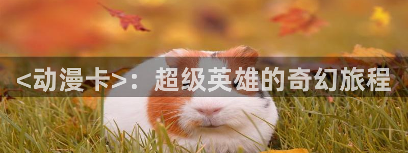 工囗里番漫画：<动漫卡>：超级英雄的奇幻旅程