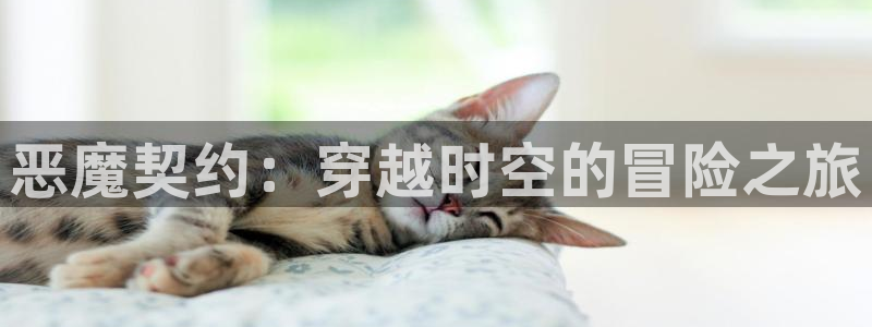 动漫里番本子库：恶魔契约：穿越时空的冒险之旅